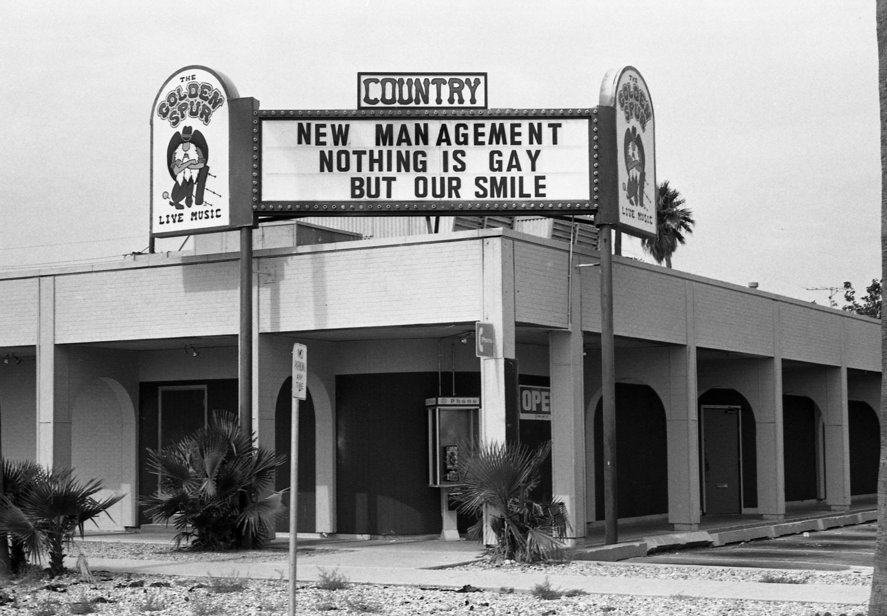 The Golden Spur